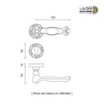 8100r-rosette-handle-iran-5