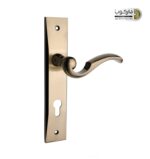 2800-plate-handle-iran-3